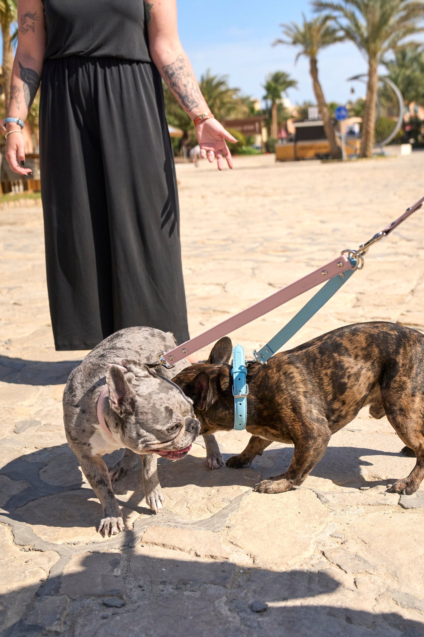 Sky Blue Leash Splitter