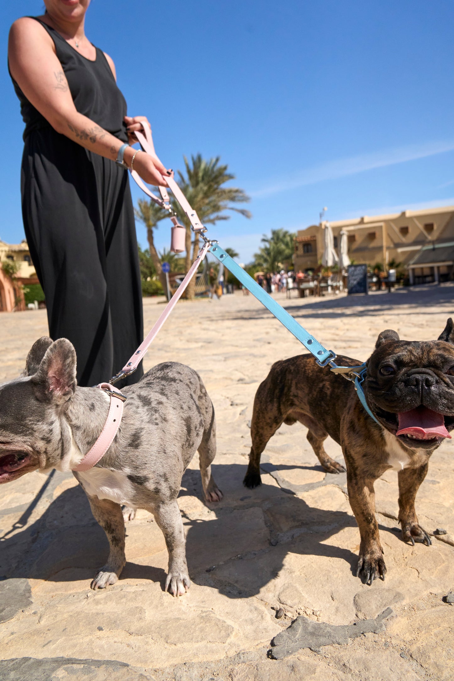 Light Pink Leash Splitter