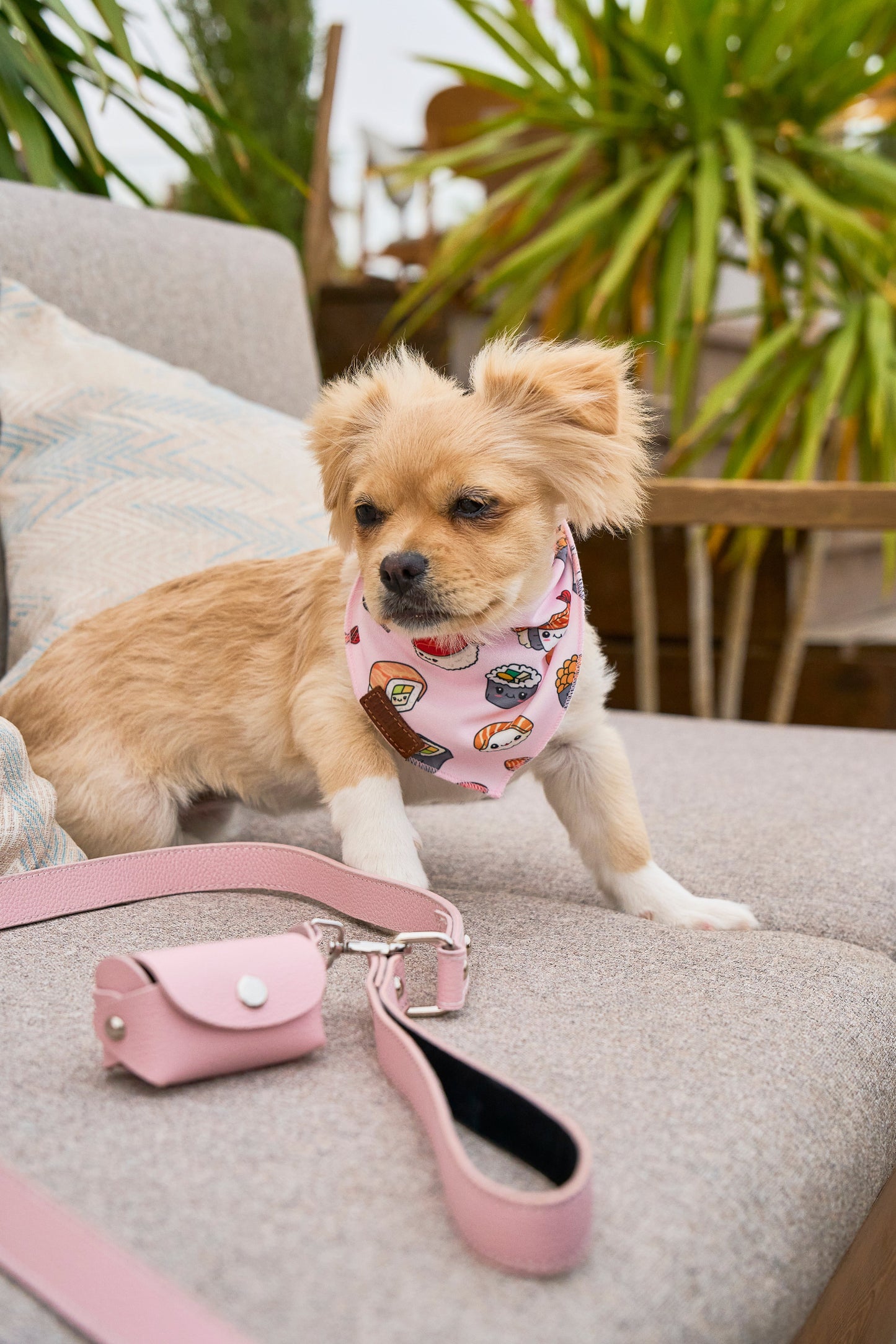 Light Pink Poo Bag Holder