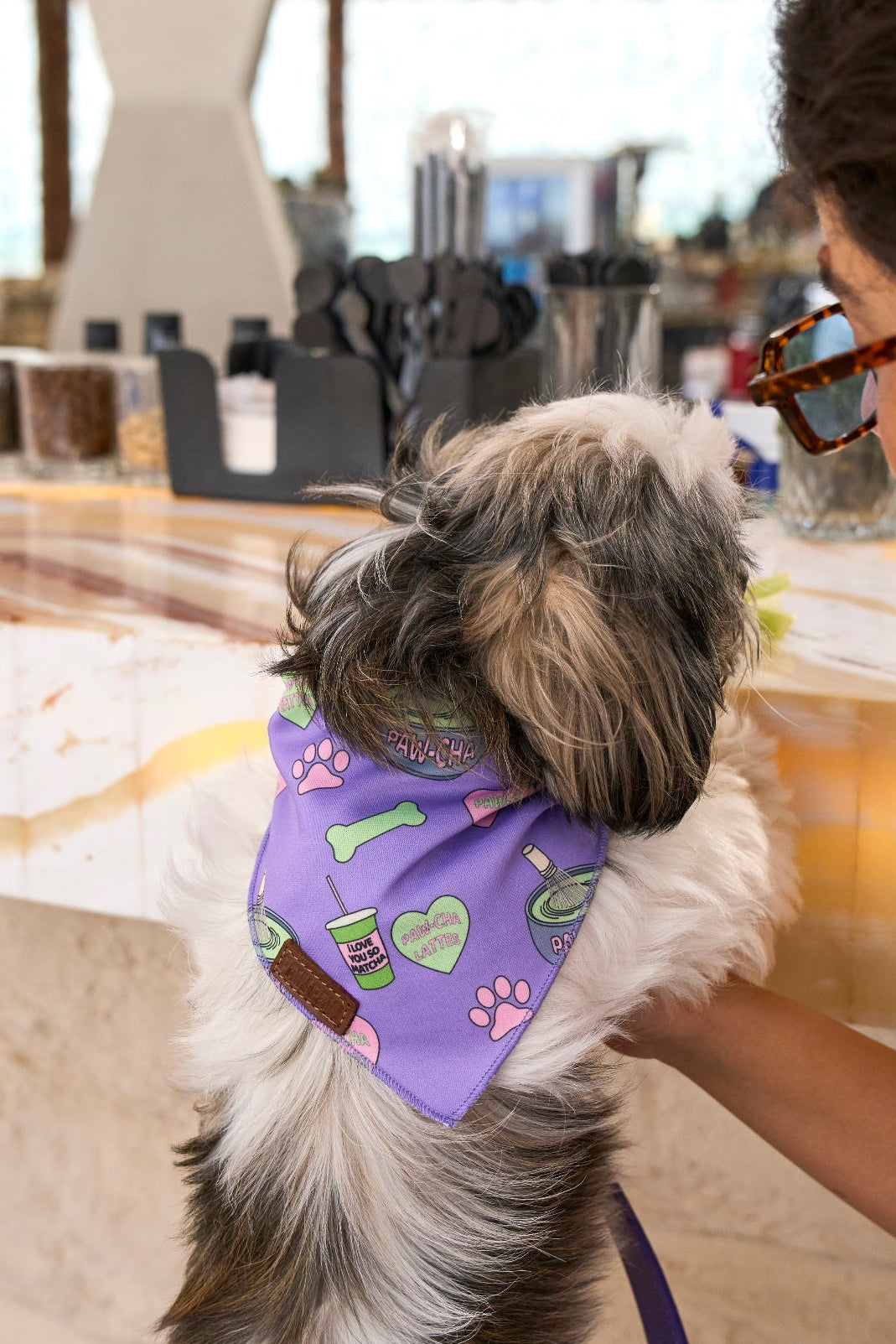 Matcha Pawcha - Bandana