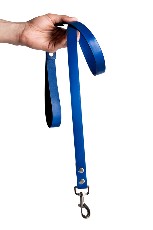 Blue PawFlex Leash