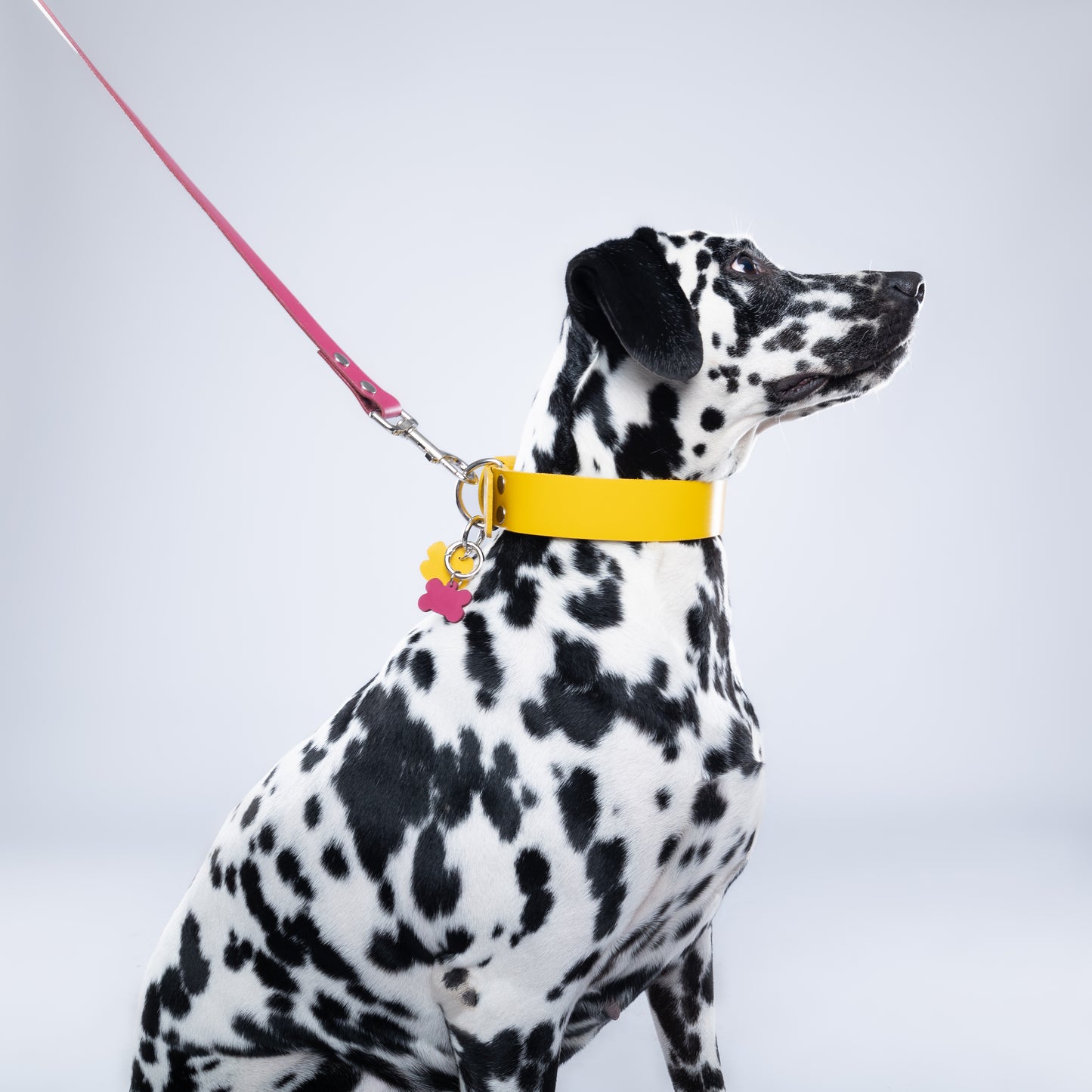 Yellow Leather Collar