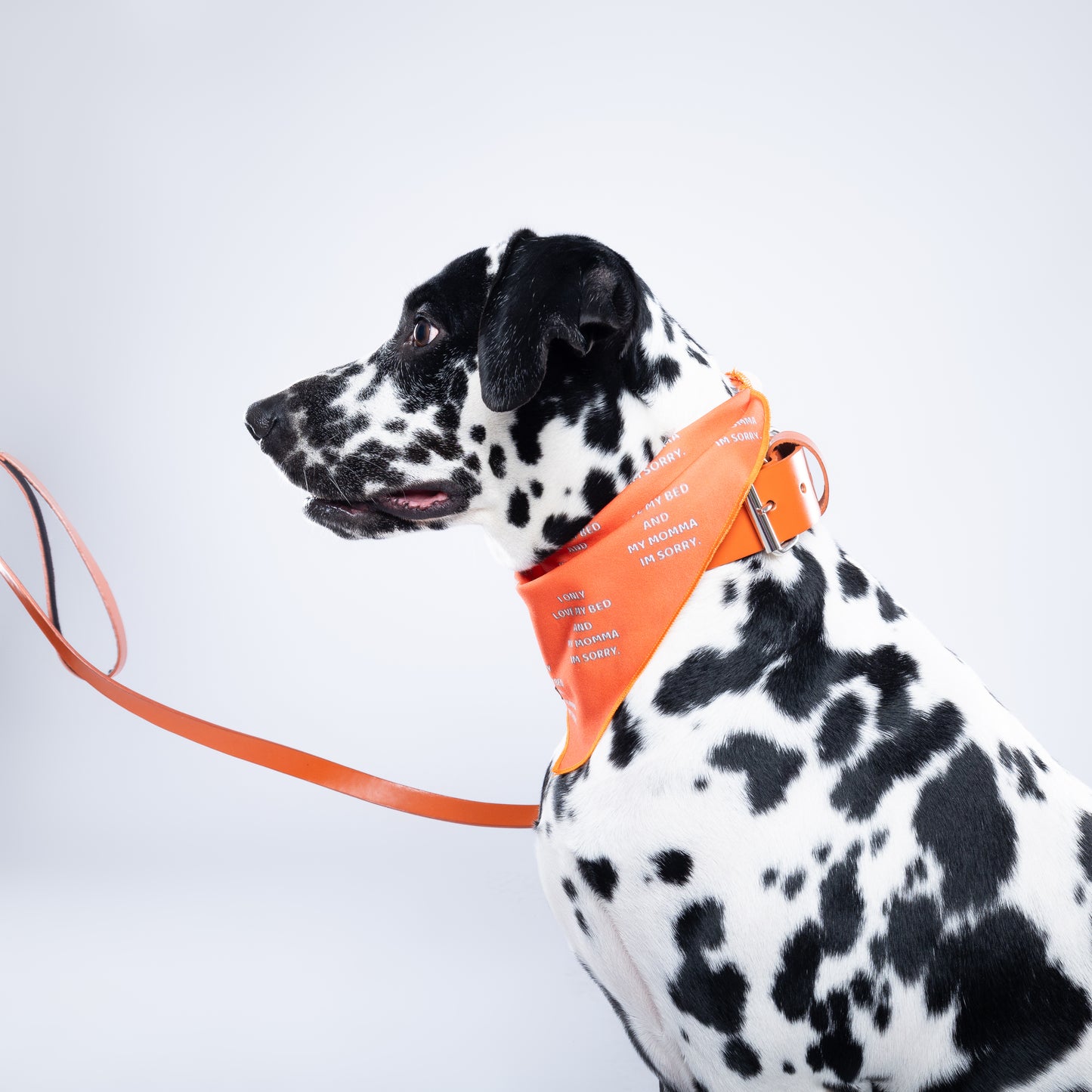 Orange PawFlex Leash