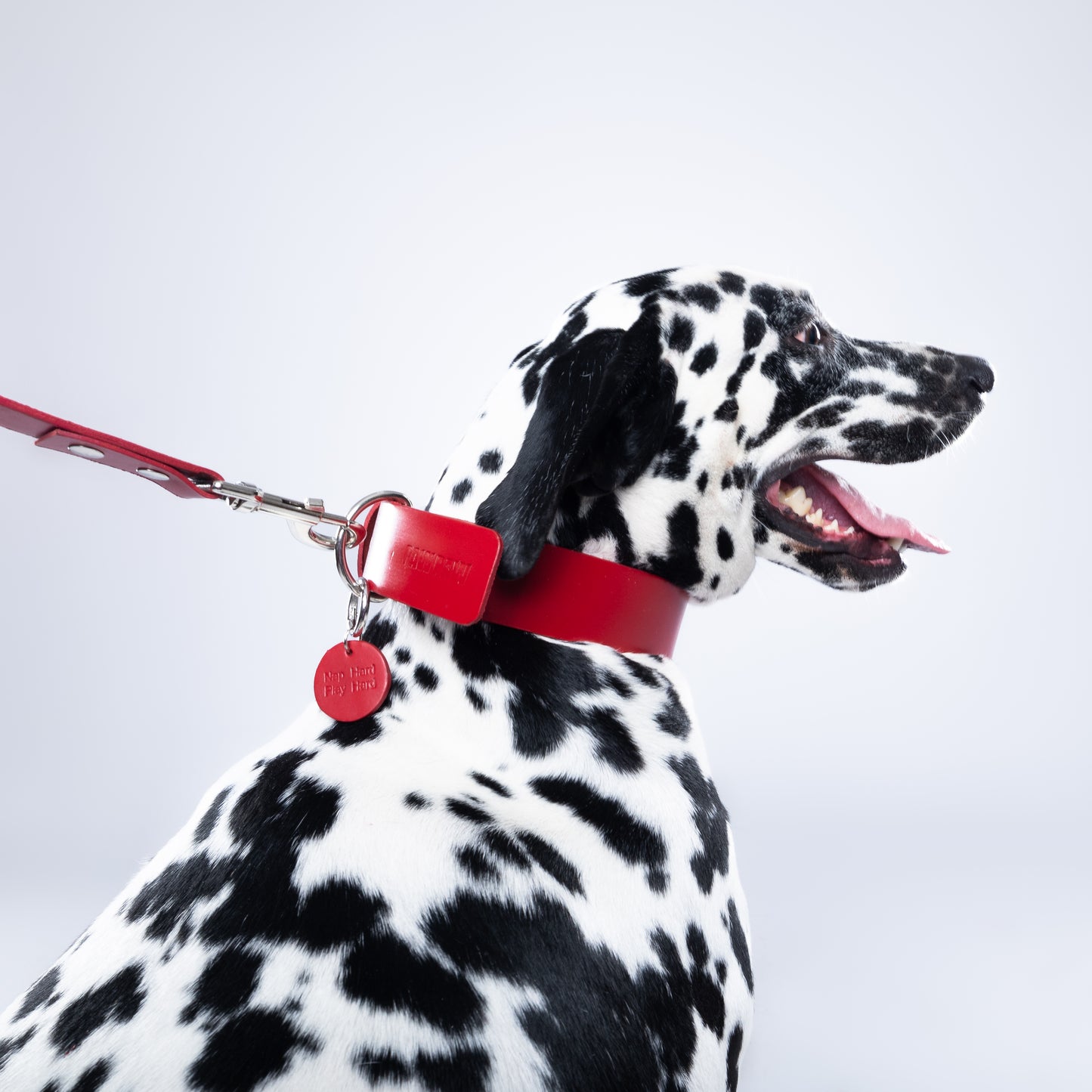 Red Leather Collar