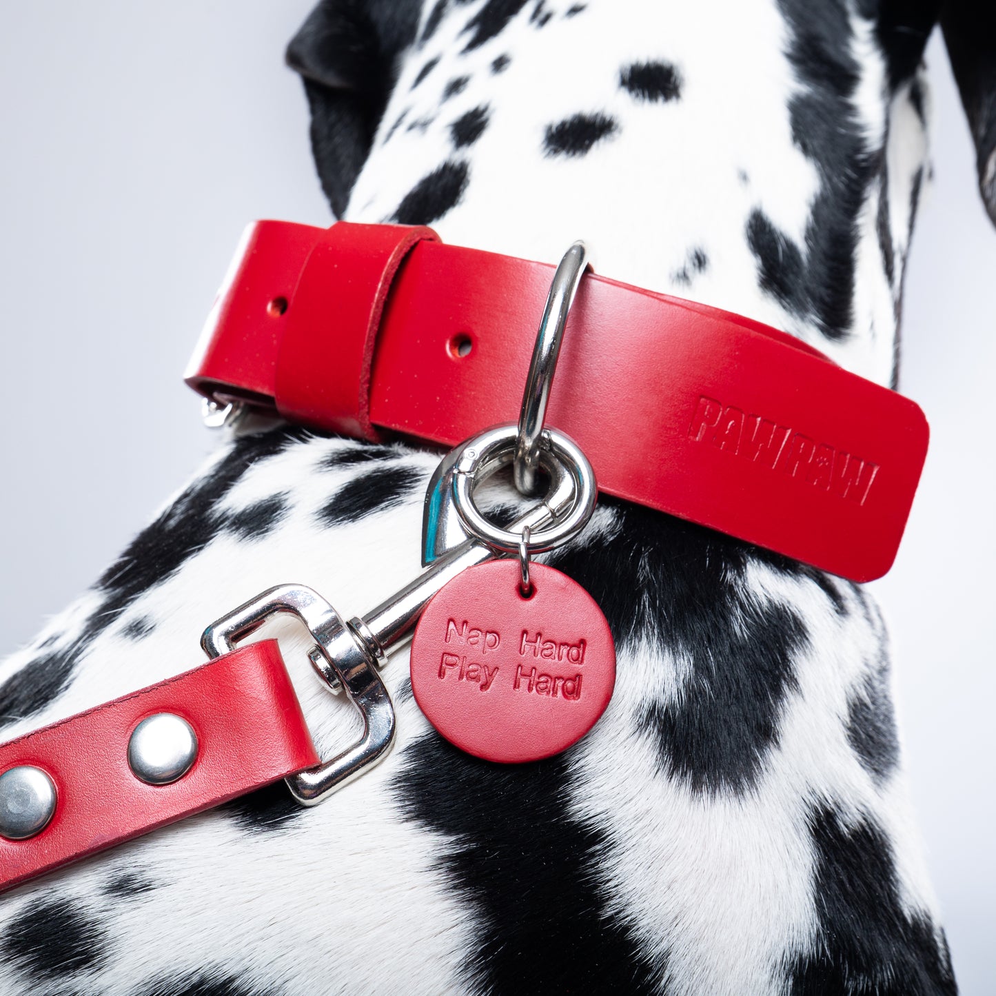 Red Leather Collar