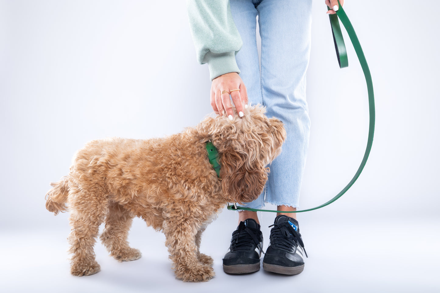 Green PawFlex Leash