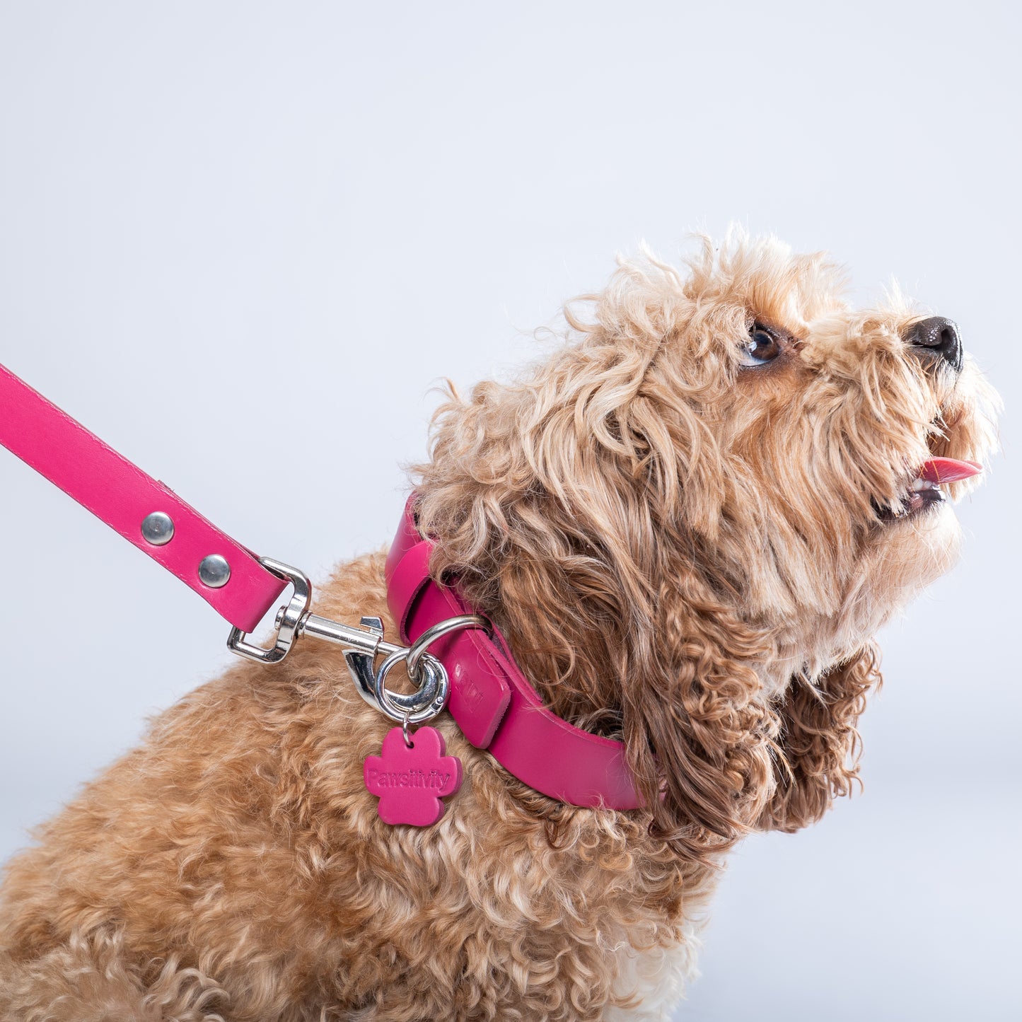 Pink Leather Collar