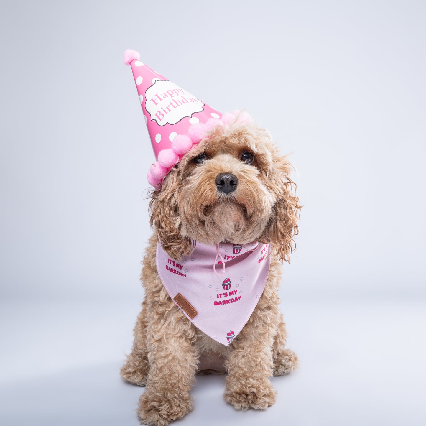 It's My Barkday Pink - Bandana