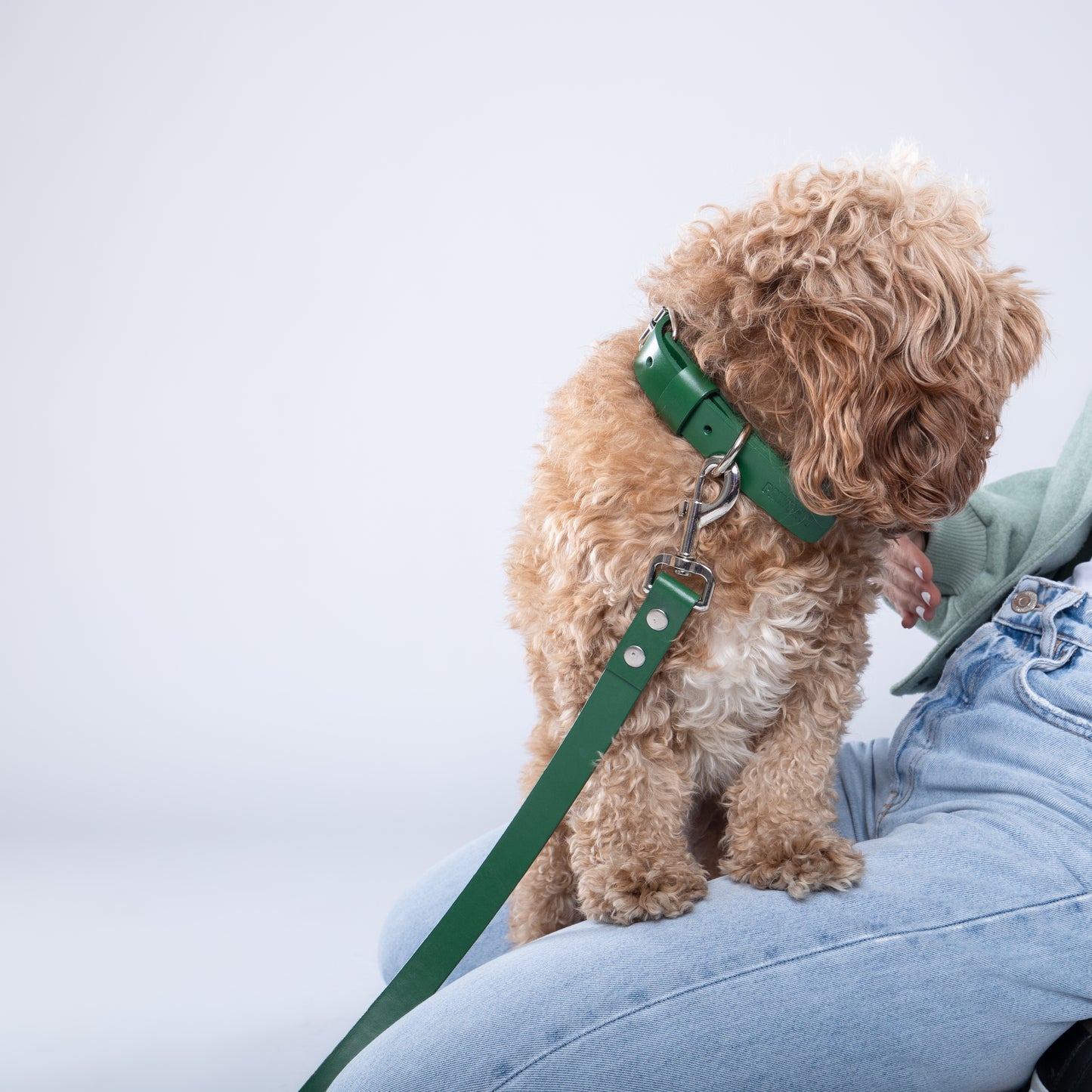 Green Leather Collar