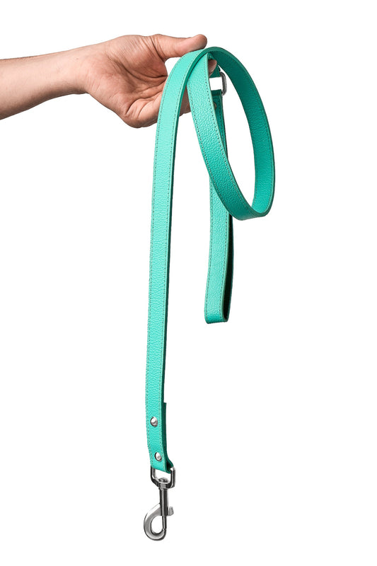 Teal PawFlex Leash