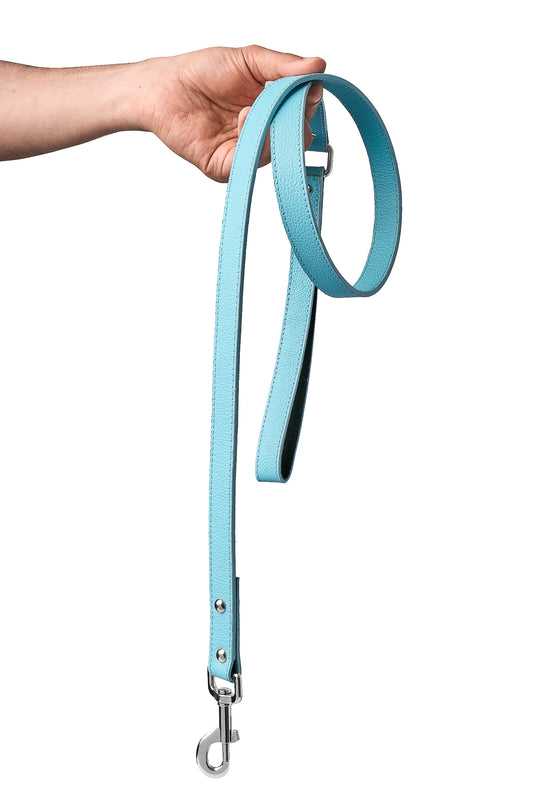 Sky Blue PawFlex Leash