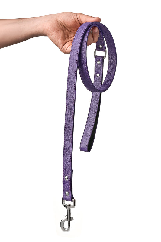 Purple PawFlex Leash