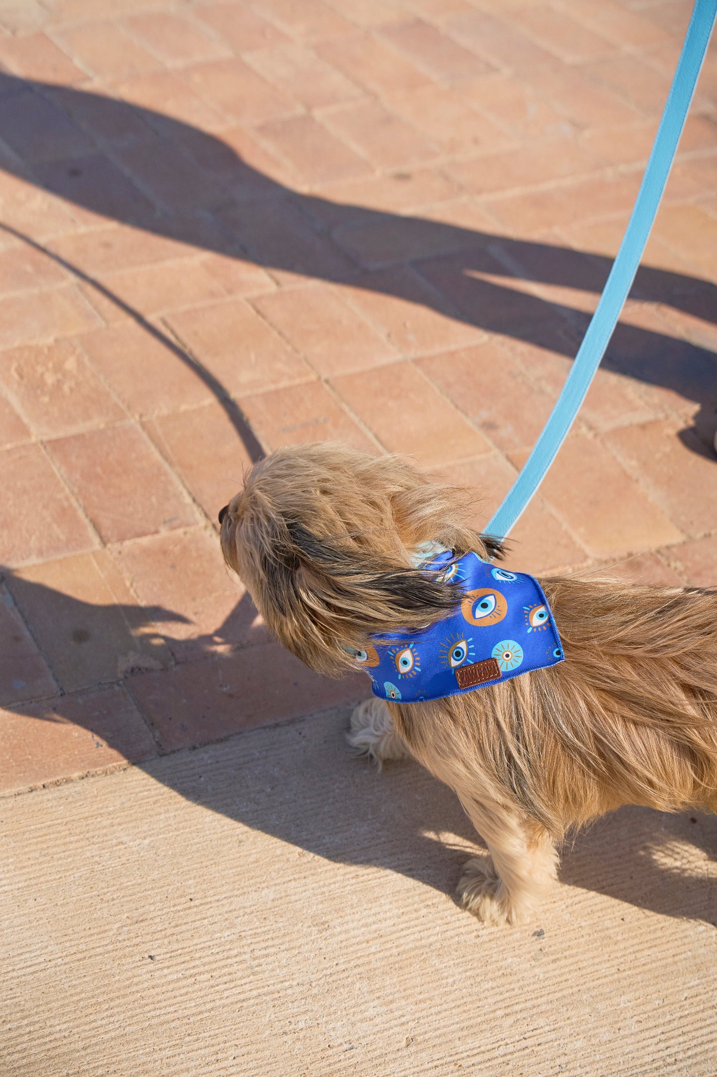 Pawtective Eye - Bandana