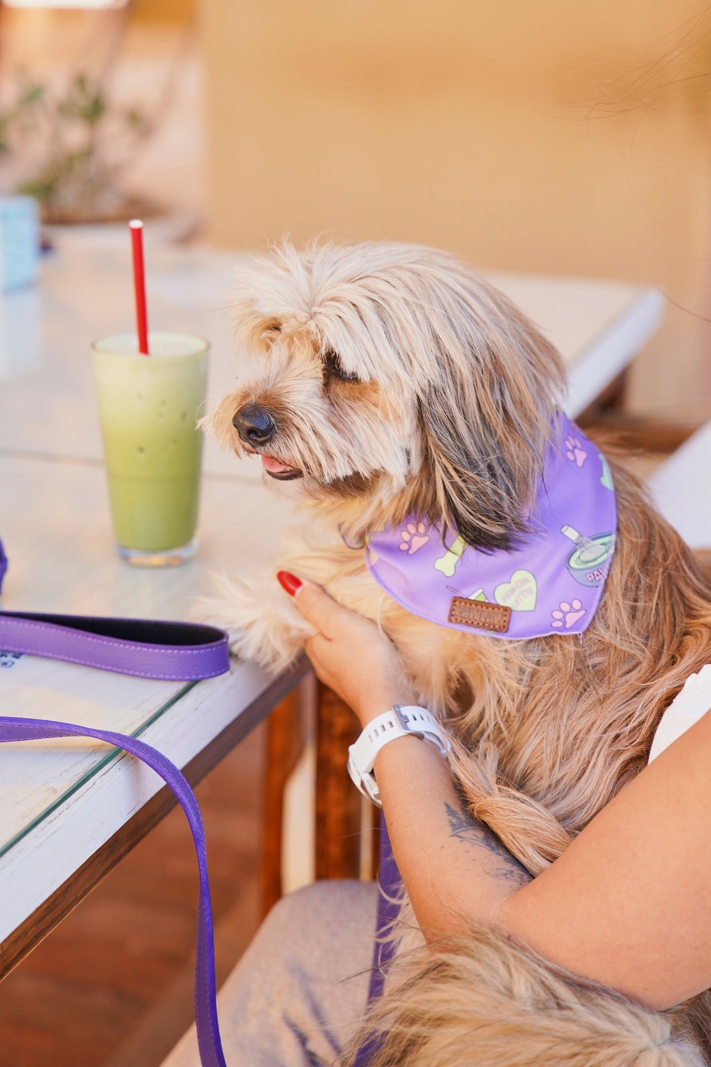 Matcha Pawcha - Bandana