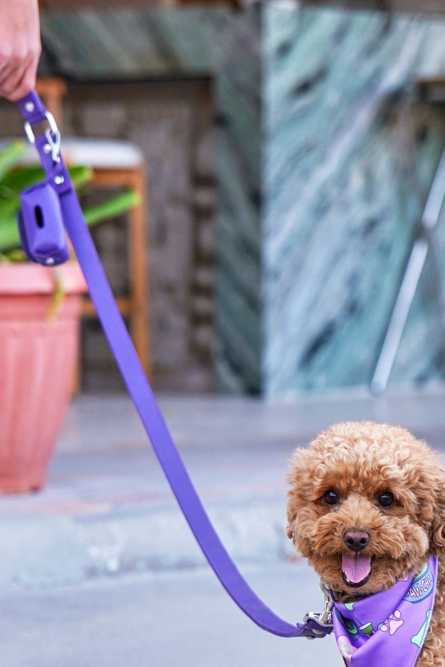 Purple Poo Bag Holder