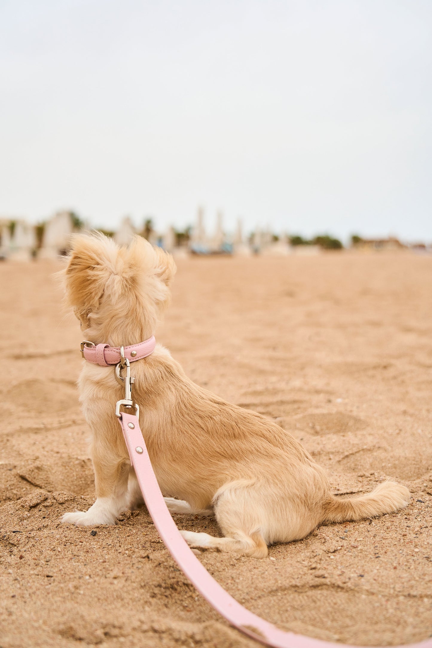 Light Pink Leather Collar