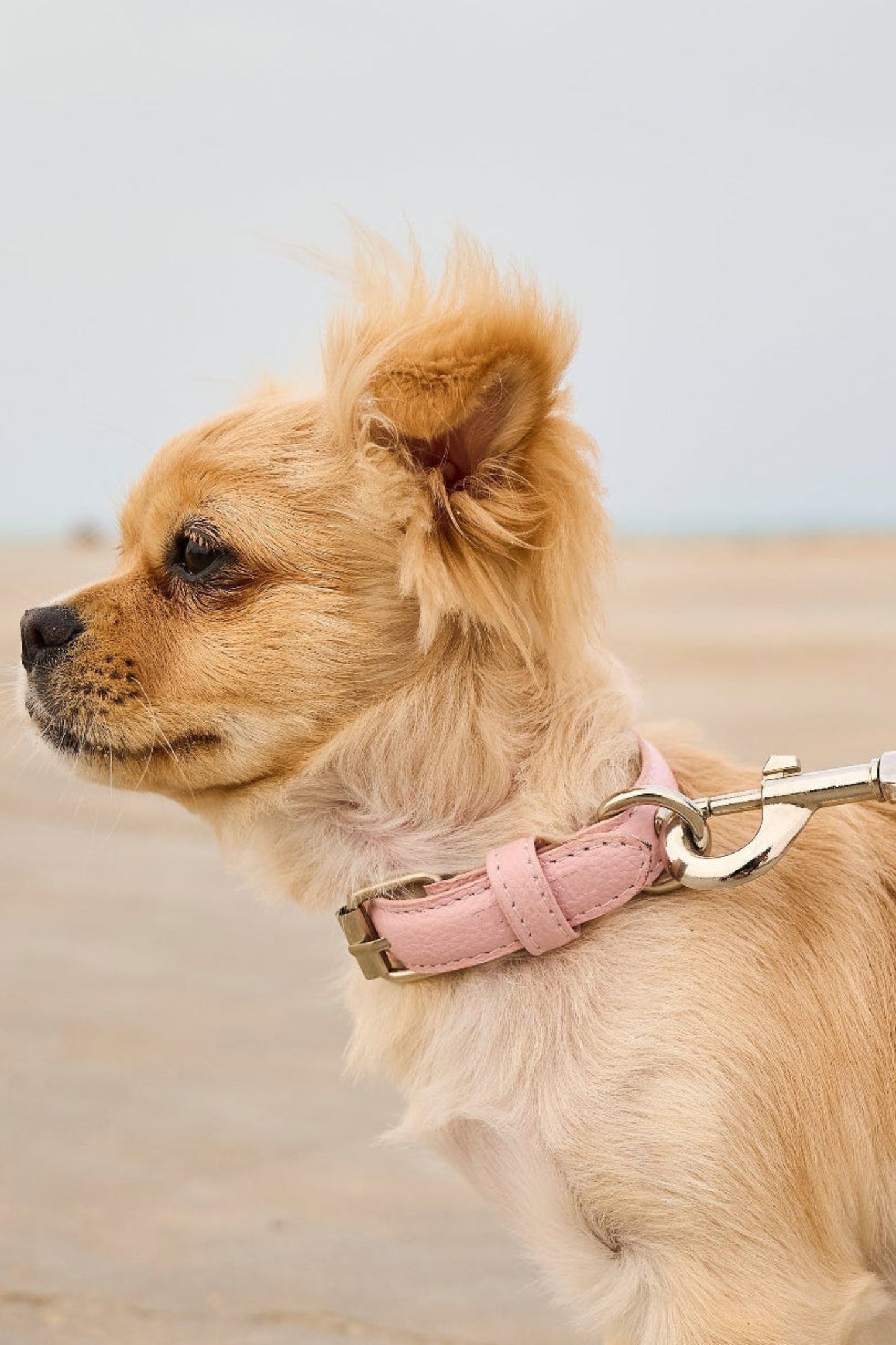 Light Pink Leather Collar