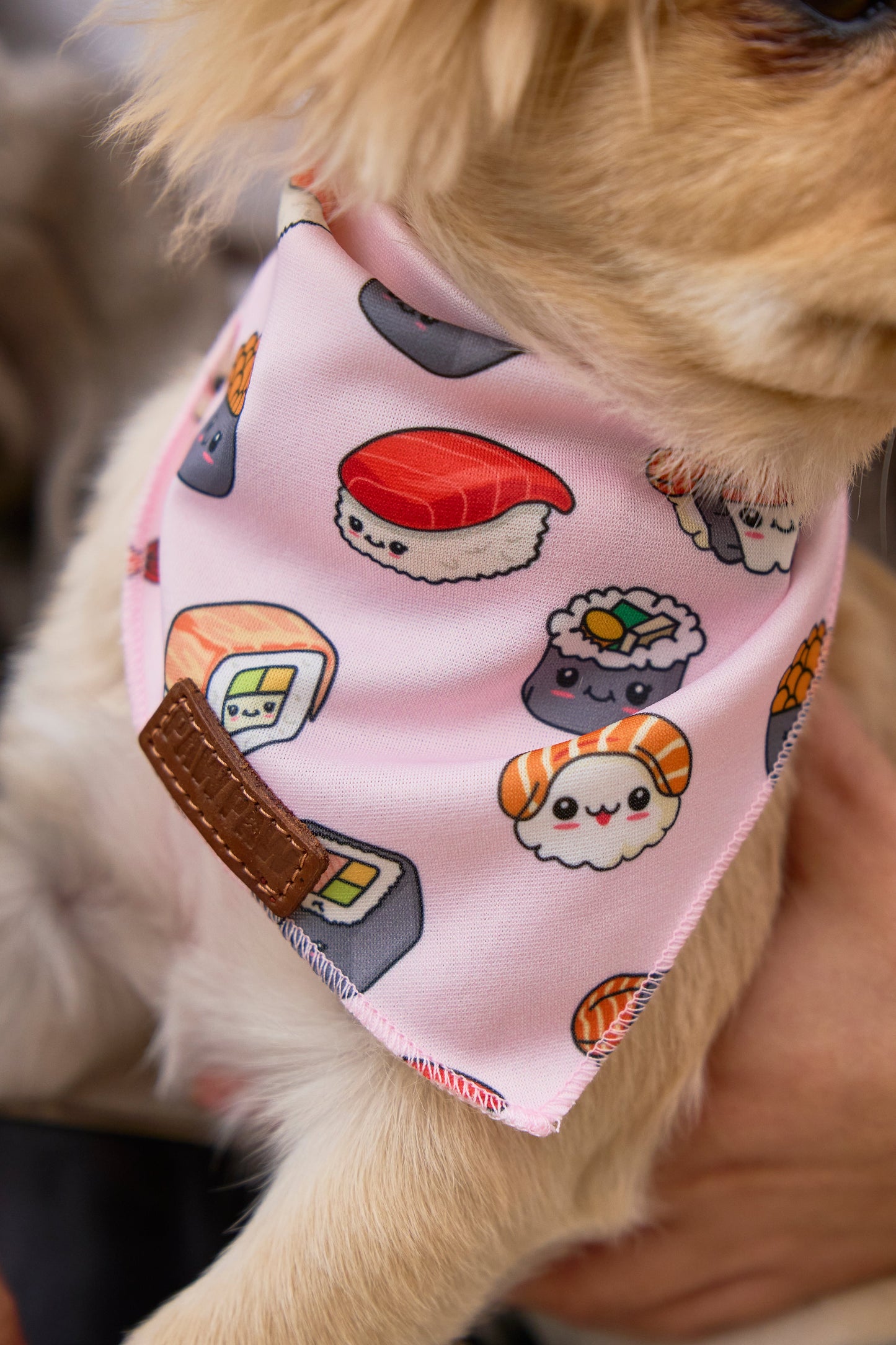 Cutie Sushi - Bandana