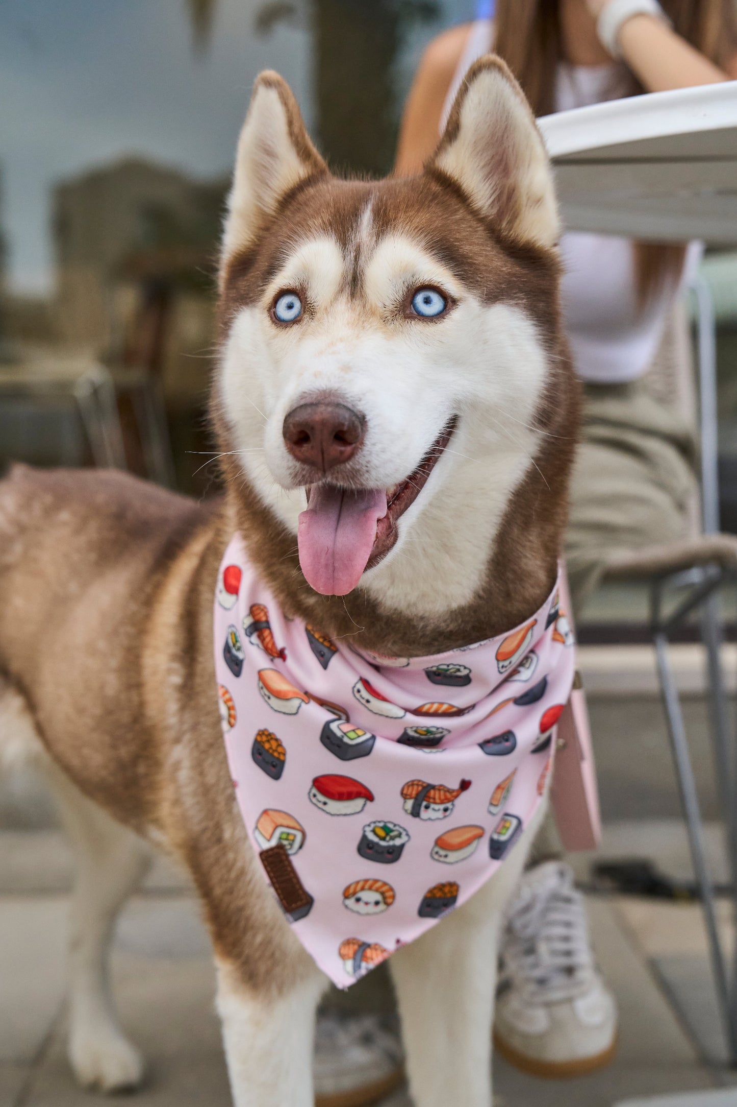 Cutie Sushi - Bandana