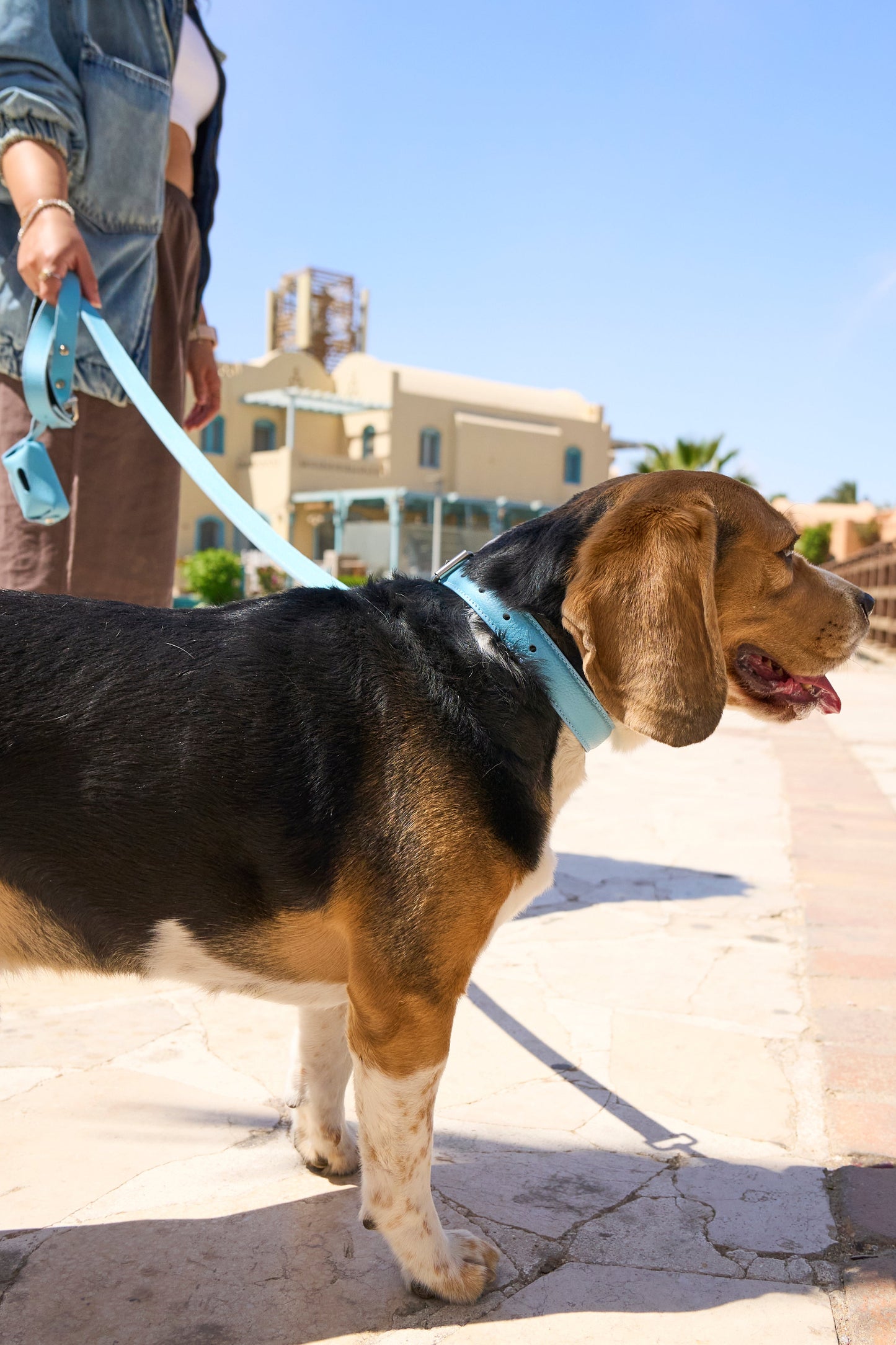 Sky Blue Leather Collar