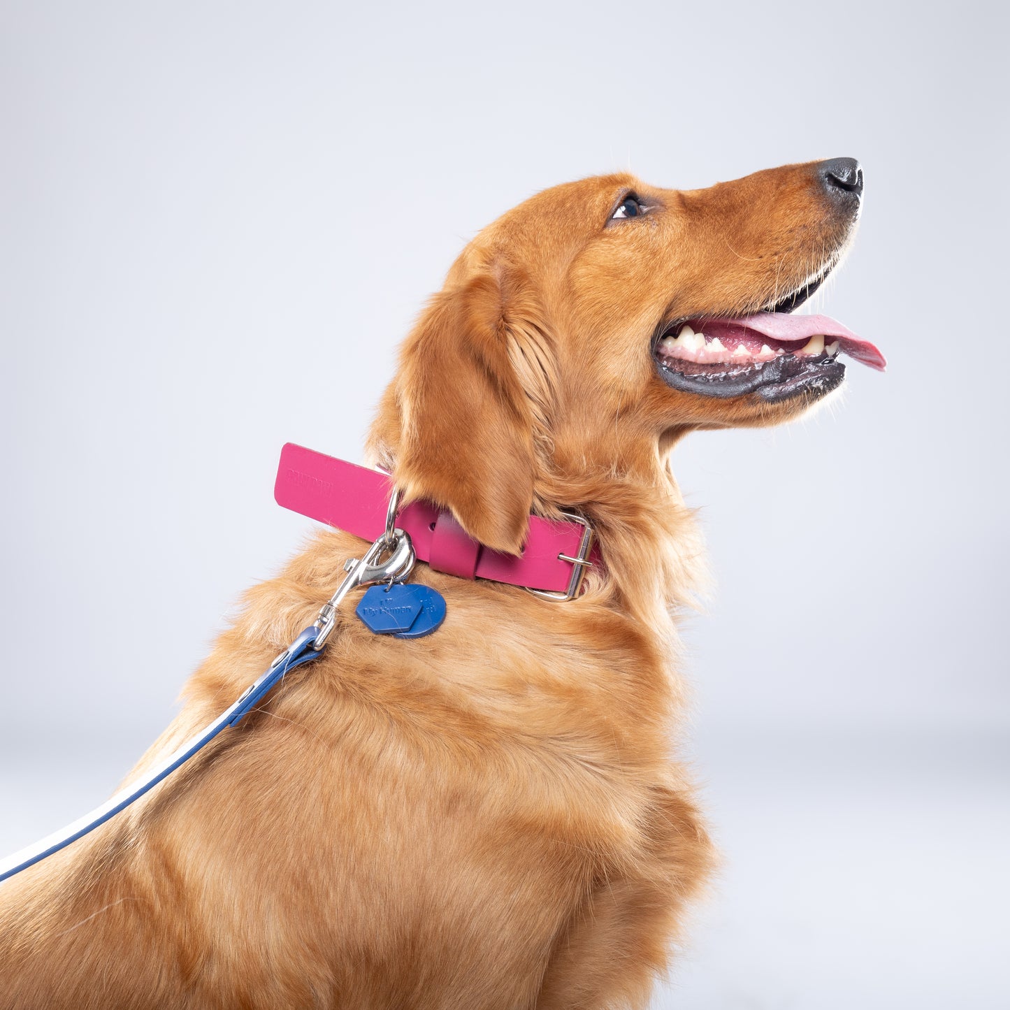 Pink Leather Collar