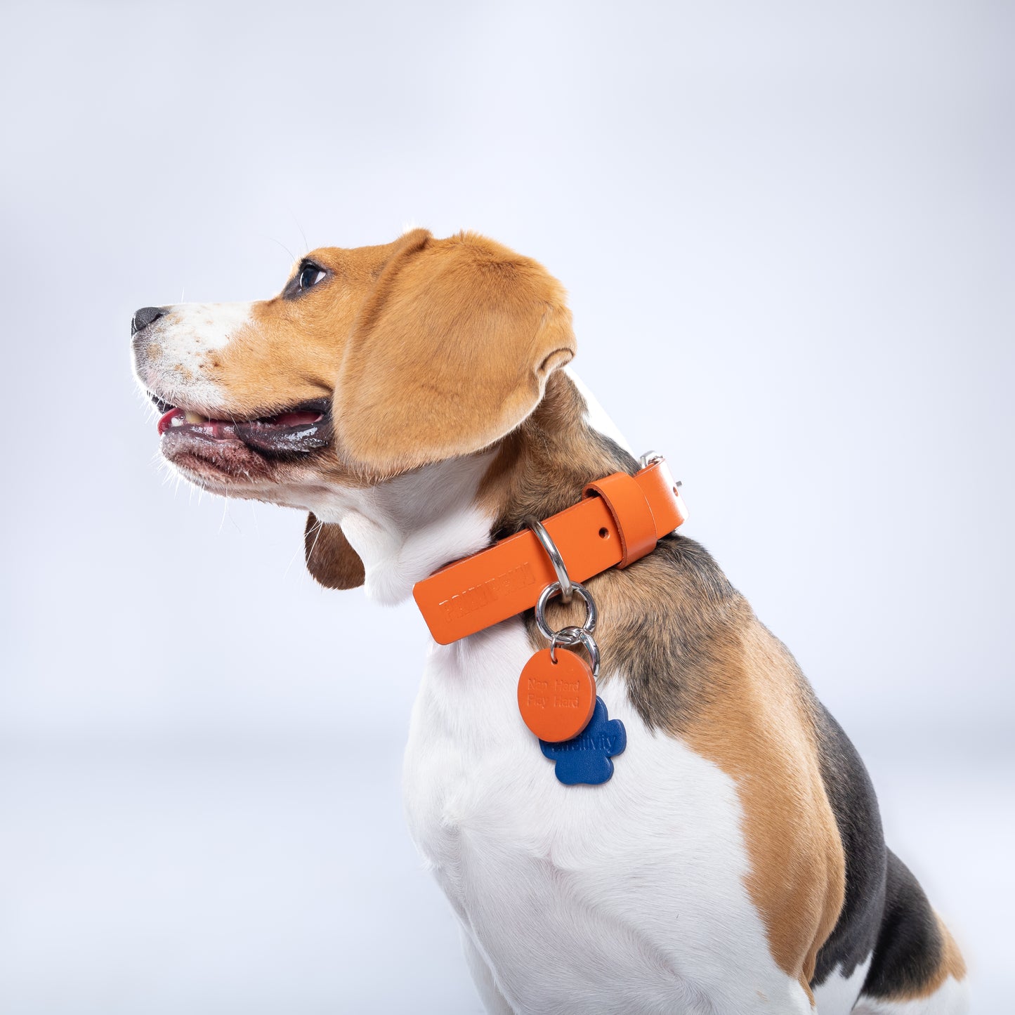 Orange Leather Collar