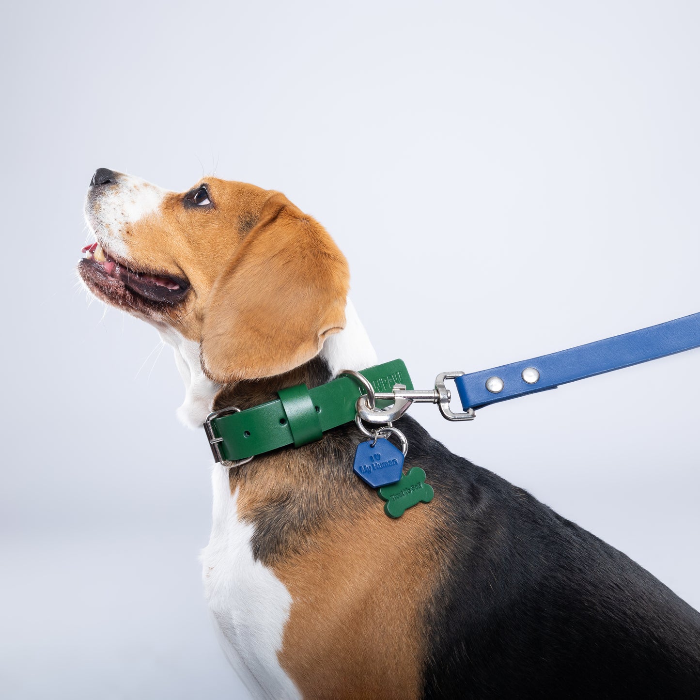 Green Leather Collar