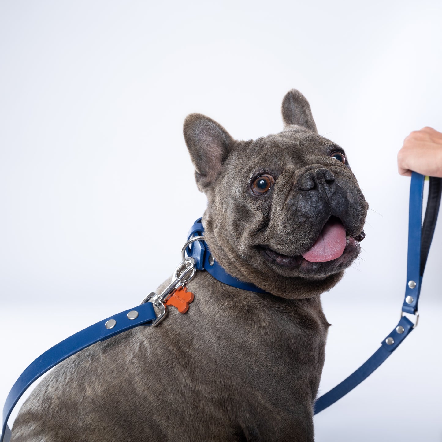 Blue Leather Collar