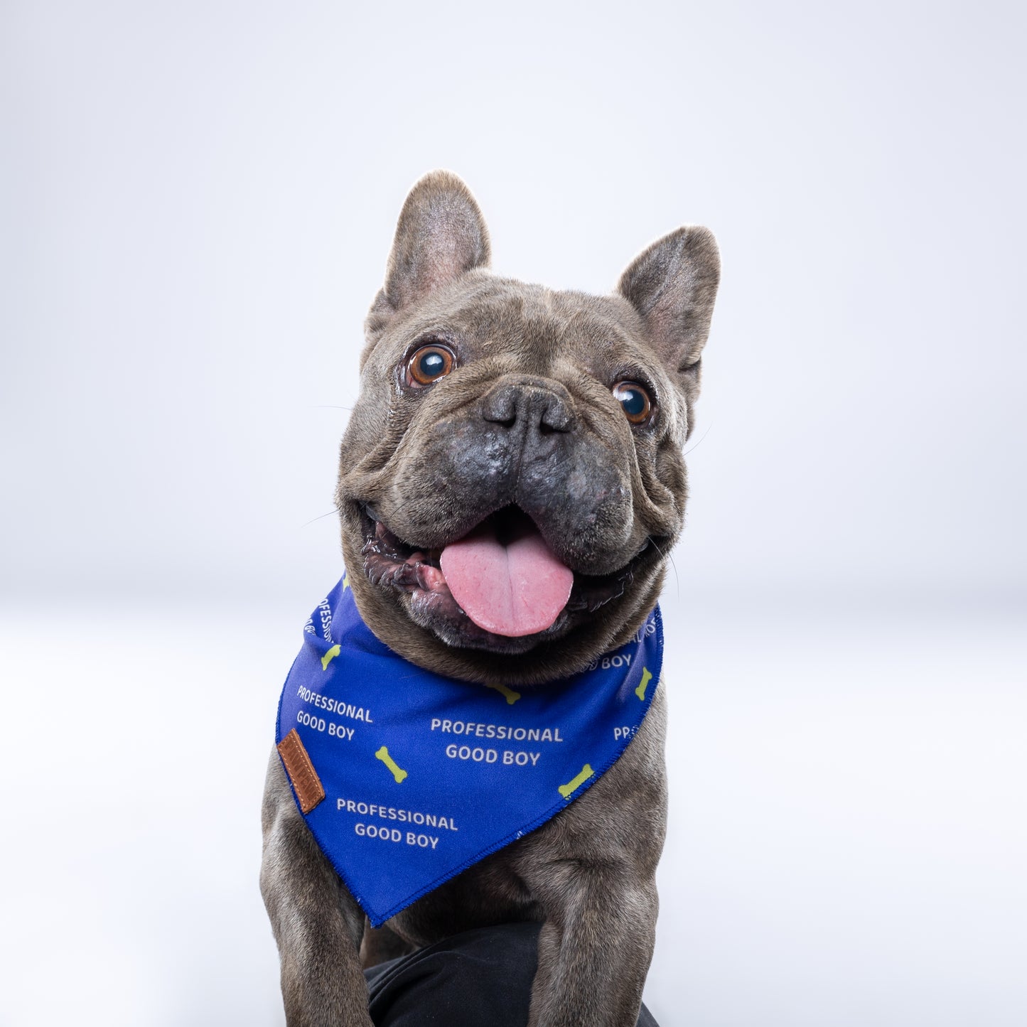 Professional Goodboy - Bandana