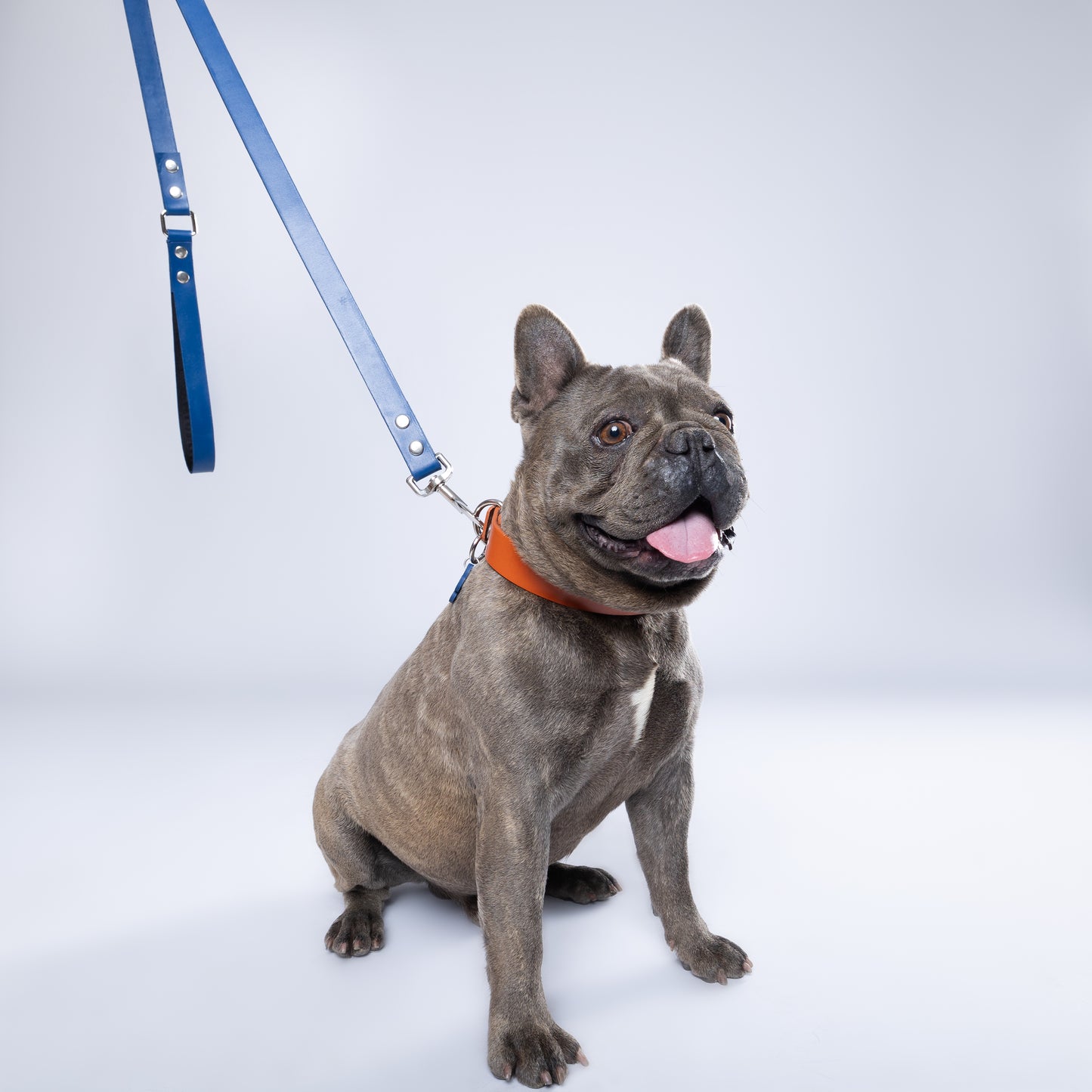 Orange Leather Collar