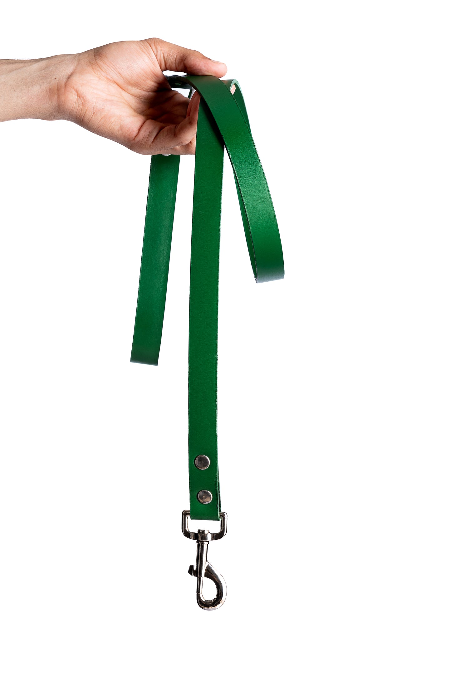 Green PawFlex Leash