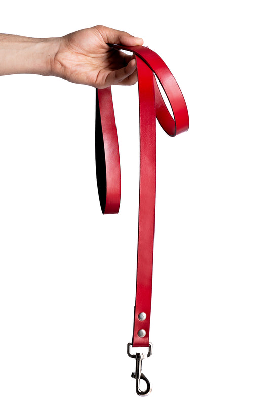 Red PawFlex Leash