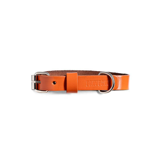 Orange Leather Collar