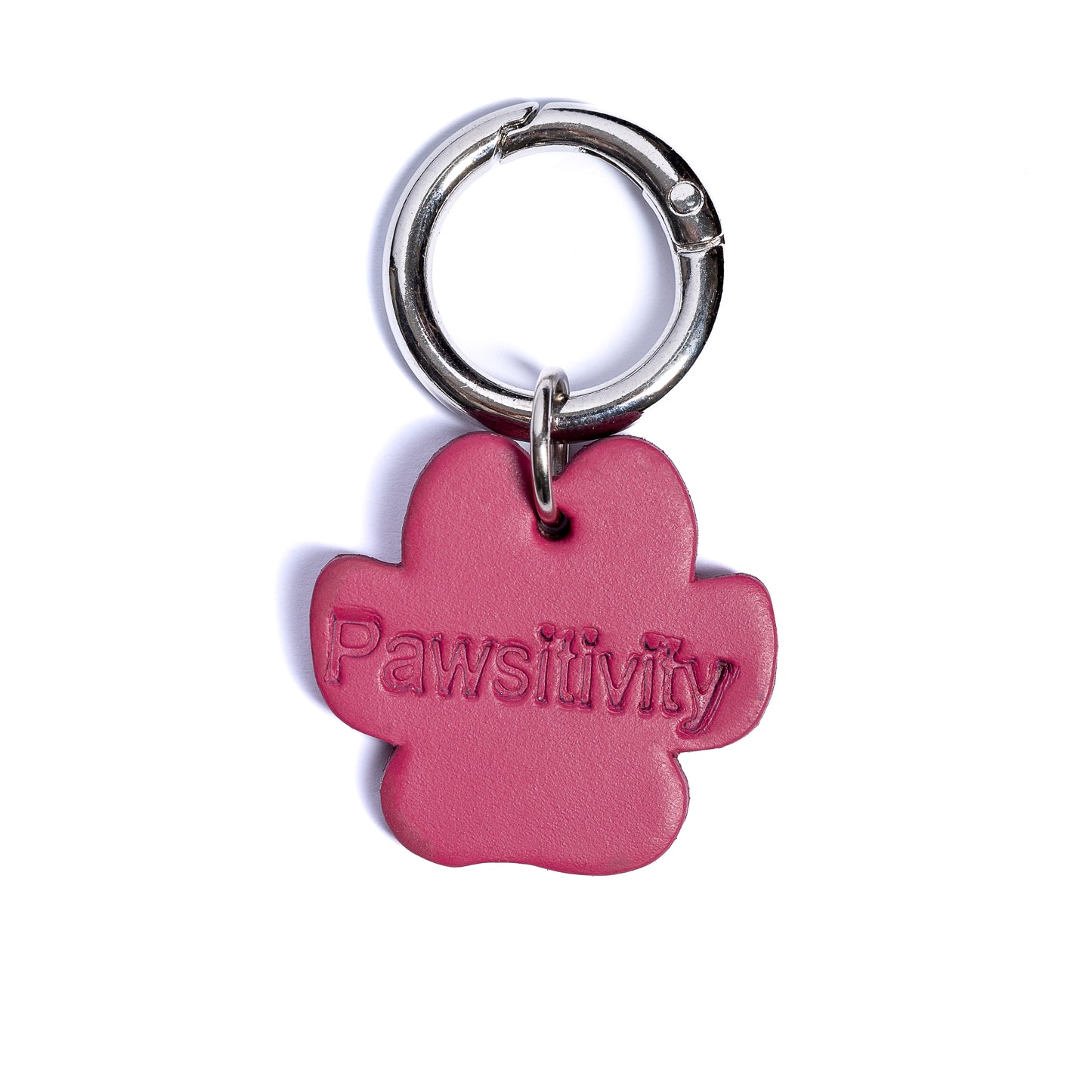 Pawsitivity - Collar Charm