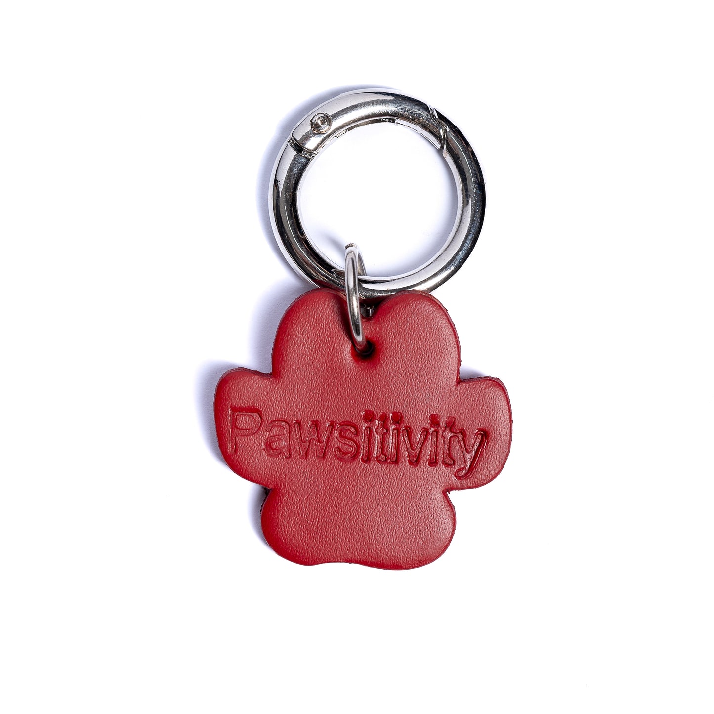 Pawsitivity - Collar Charm