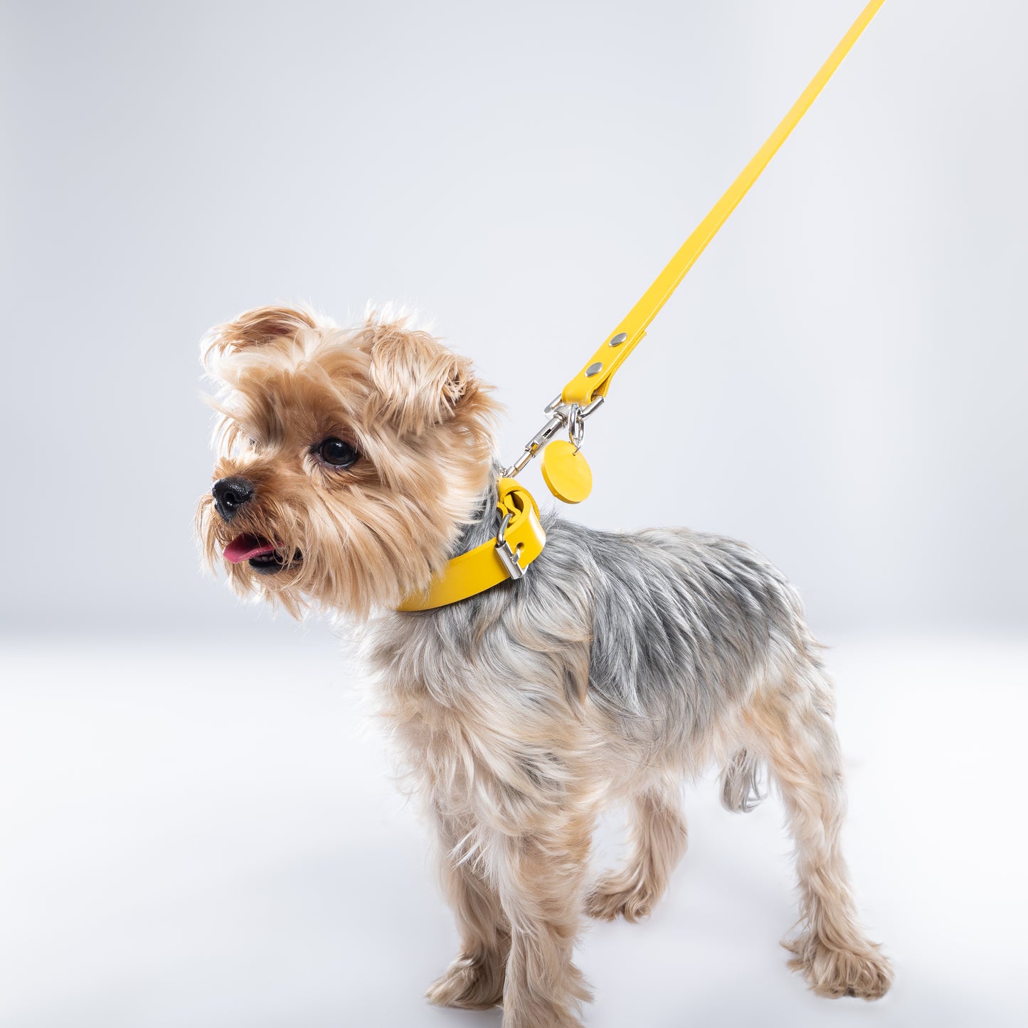 Yellow PawFlex Leash