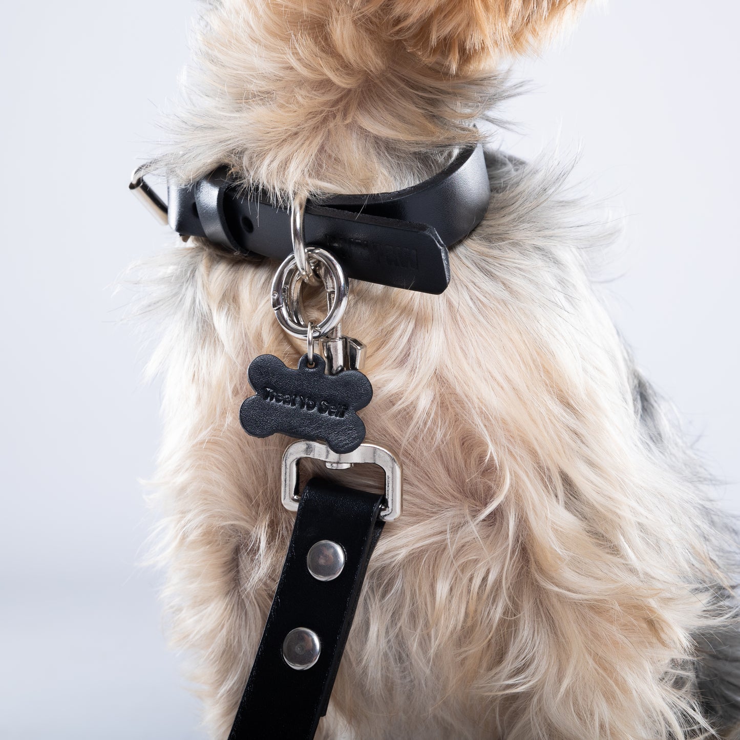 Black Leather Collar