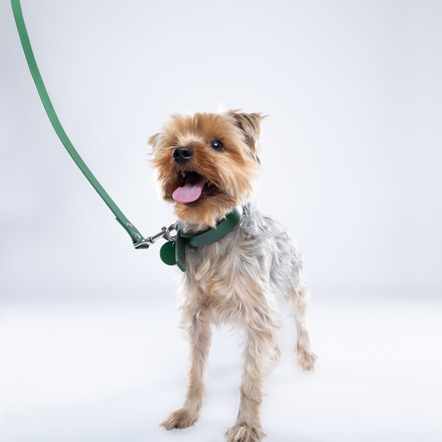 Green PawFlex Leash