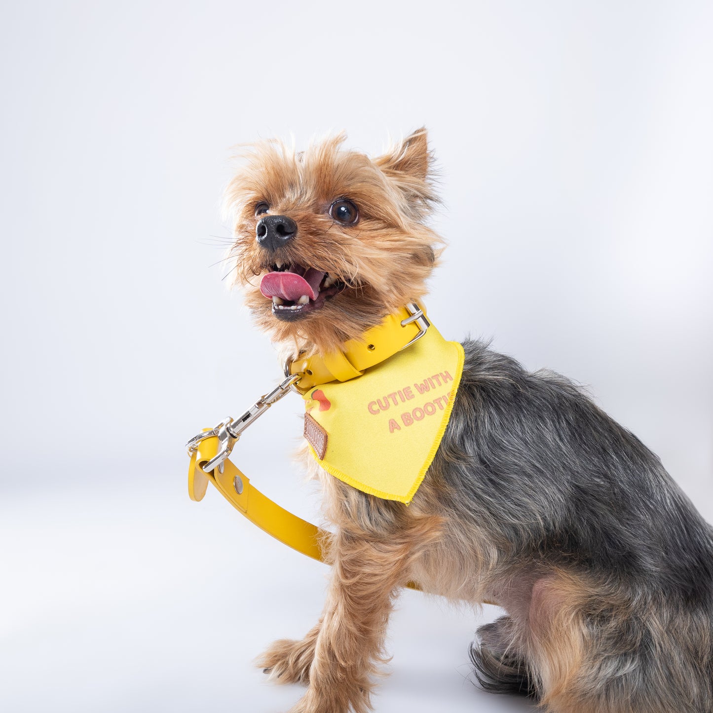 Yellow Leather Collar